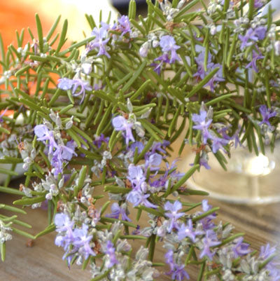 Rosemary Grapeseed Oil 200ml bottle